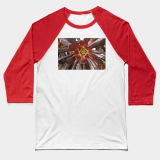 Variegated Succulent, October 2022 Baseball T-Shirt